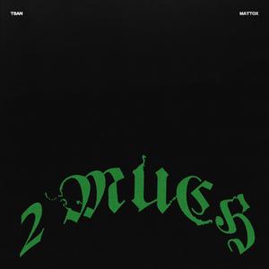 2 MUCH (feat. Matt Ox)