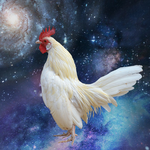 The wrong side of the road