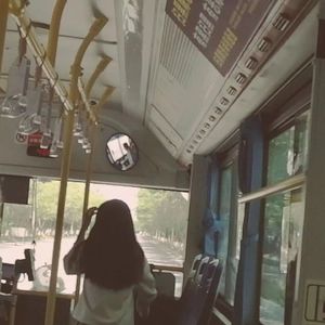 free 梦