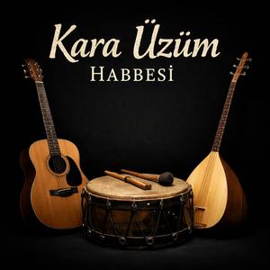 KARA ÜZÜM HABBESİ