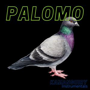 Palomo