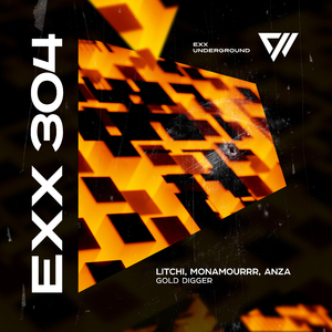 Gold Digger (Extended Mix)