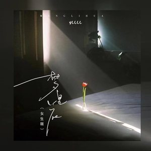 梦里花 (温柔版伴奏)