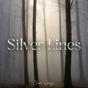 Silver Lines