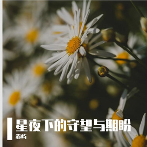 星夜下的守望与期盼