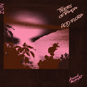 Zun (Mira & Chris Schwarzwalder Remix)