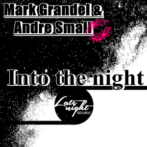 Into The Night (Original Mix)