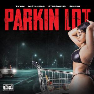Parkin' Lot (feat. Stresmatic & 2Elevn)