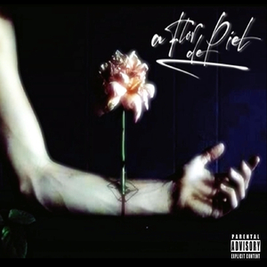 Realidad Con Verdad (feat. Nikka)