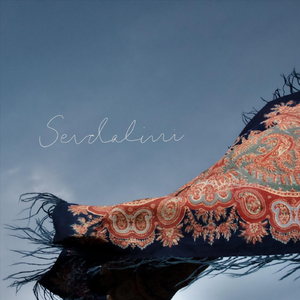 Kiša Pada, Trava Raste (feat. Bosko Jovic, Clara Ljungkvist, Samuel Lundström & Mehmed Jakic)