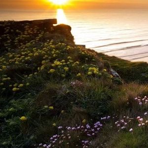 单依纯-想你时风起（Del Mang remix）