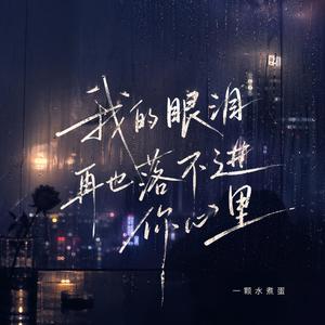 我的眼泪再也落不进你心里