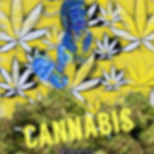 Cannabis