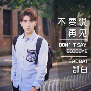 不要说再见