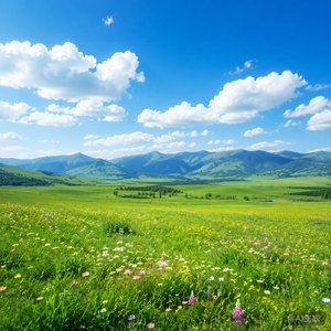 铃兰晨光（宝格丽沐光玫香）