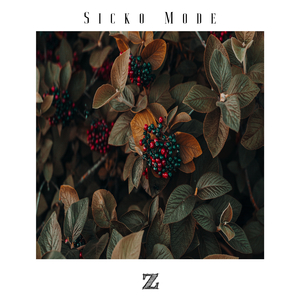 Sicko Mode