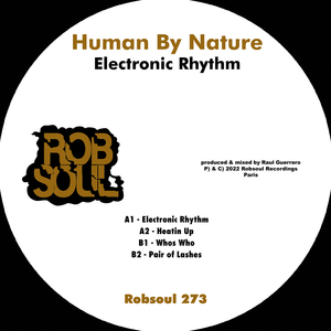 Electronic Rhythm