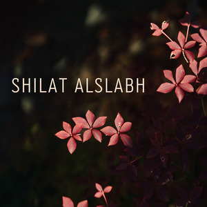 Shilat Alslabh