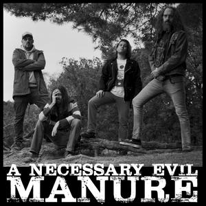 Manure