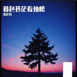 暮色苍茫看劲松