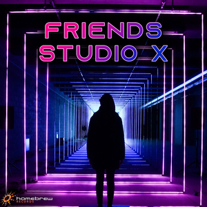 Friends (Radio Edit)