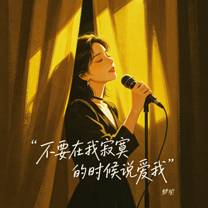 不要在我寂寞的时候说爱我(funky女版)