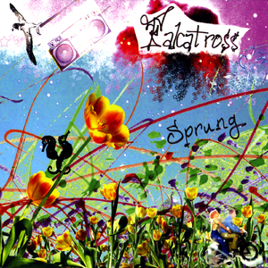 Sprung (Festival of Ramps)