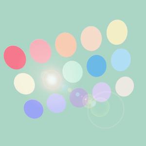 PANEL VII (CAPITAL MIX)