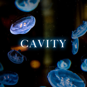 Cavity