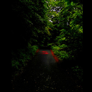 ファントムさん