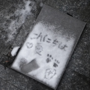 无-雪花落下（翻唱）（静静 remix）