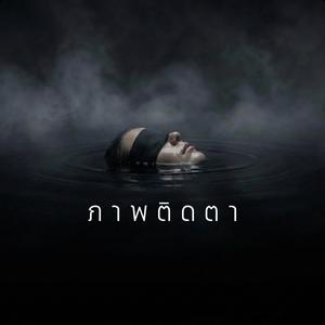 ภาพติดตา