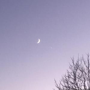 官 方 回 答（P城没有坤坤Remix）