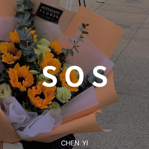 Avicii-SOS（CHENYI remix）