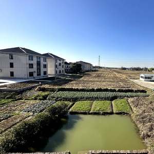 年轻人你好好干