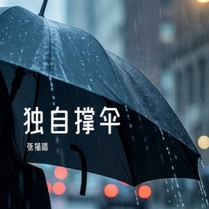 独自撑伞