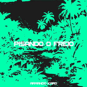 pisando o freio