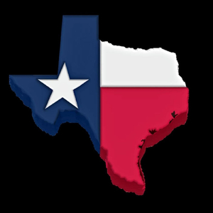 Dallas Cowboy Cheerleaders