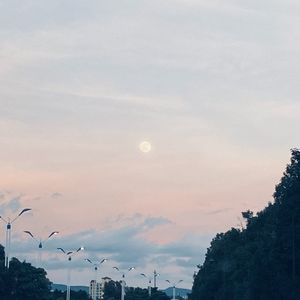 水泥森林(Prod.by CDRAGON.Dbeatz)