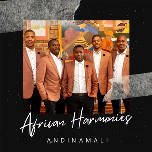 Andinamali
