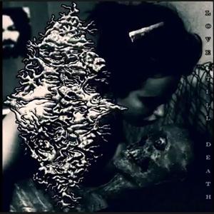 why girls don't fart