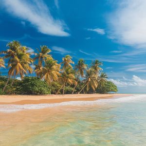 同病相怜不是爱