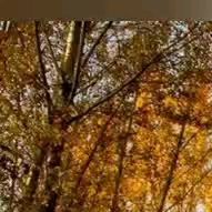 是你的希望 (19)