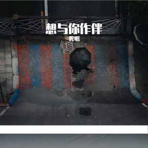 月下孤影梦徘徊