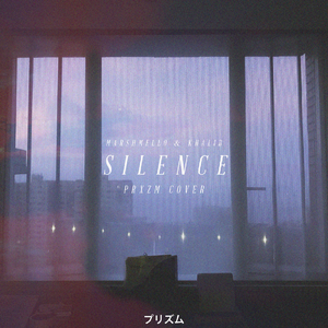 Silence (PRXZM Cover)