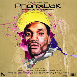 Never Give Up (Phildesoul's Reverbalization Remix)