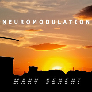Neuromodulation