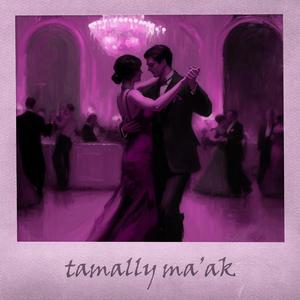 Tamally Maak (Piano Version - Slowed + Reverb)