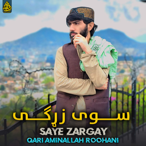 Saye Zargay