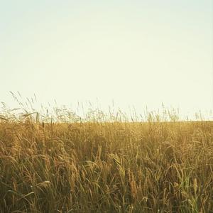 Still Here When You Leave